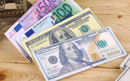 ГНФАР сократил долю доллара и повысил долю евро в инвестпортфеле 