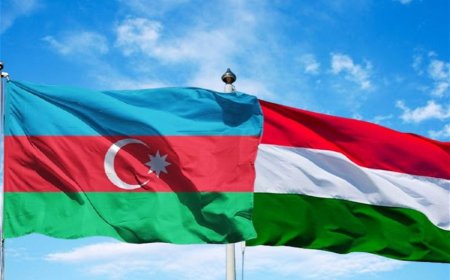 Азербайджан обсудил с Венгрией развитие торгово-инвестиционного сотрудничества